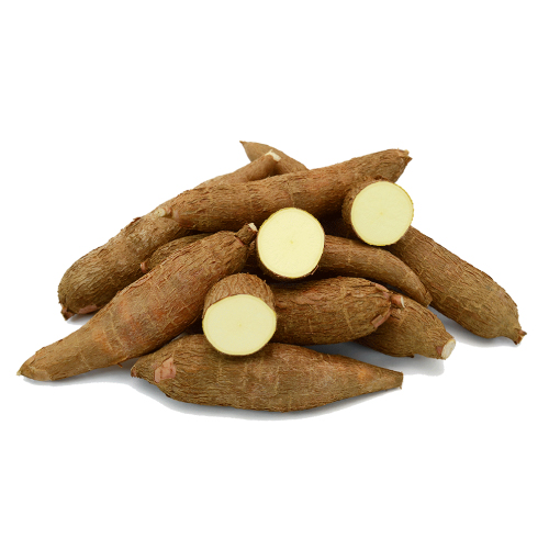 Cassava