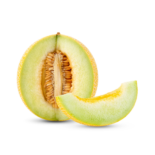 Galia Melon