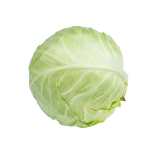 White Cabbage